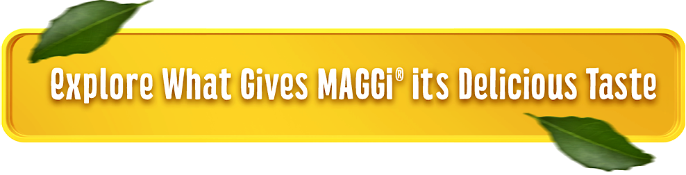 title explore what gives maggi