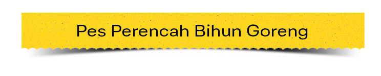 bihun-goreng
