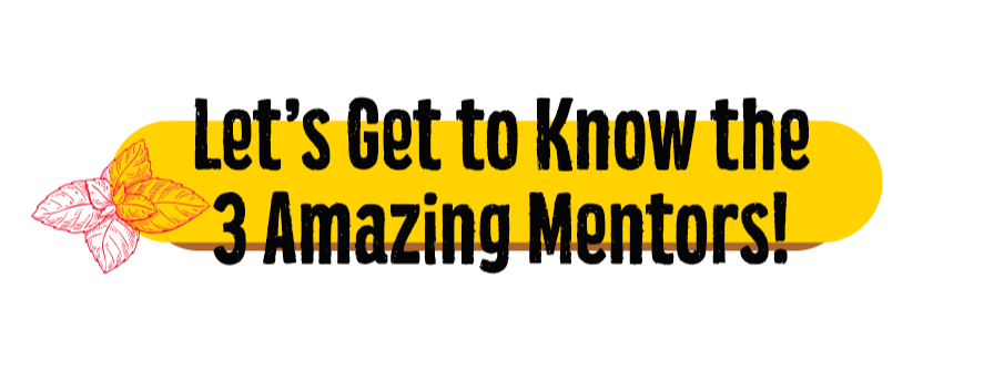 Get to know 3 mentors