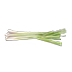 181511
