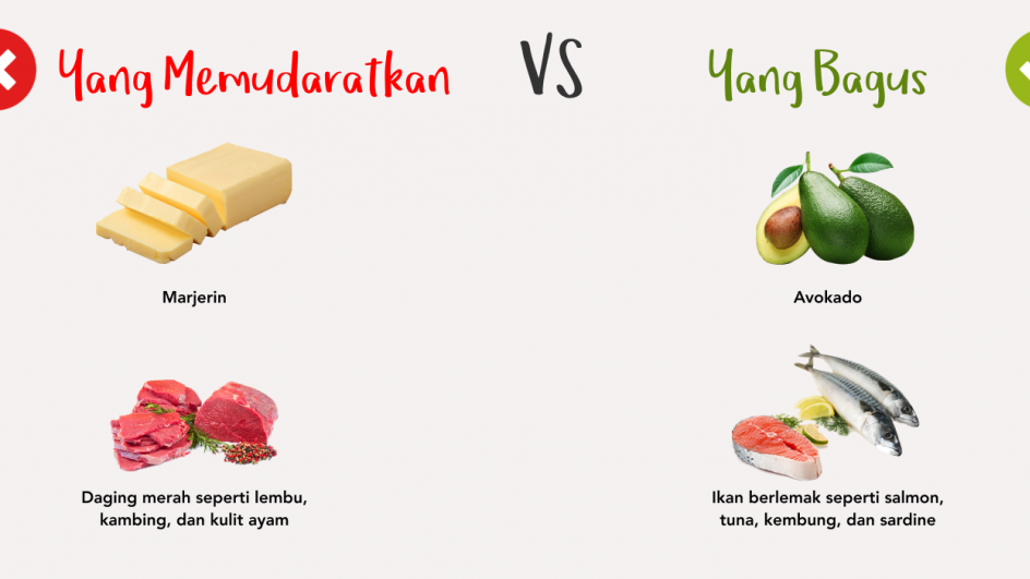 Yang Memudaratkan vs Yang Bagus - Daging Merah vs Ikan Berlemak