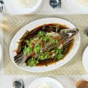 Steamed Fish with Chopped Ginger and Spring Onion